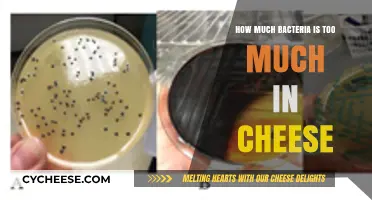 Understanding Safe Bacteria Levels in Cheese: When Is It Too Much?