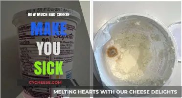 Can Bad Cheese Make You Sick? Risks and Symptoms Explained