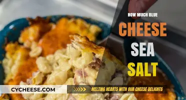 Perfect Blue Cheese Sea Salt Balance: Enhance Your Dishes with Flavor