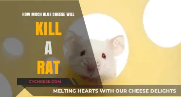 Blue Cheese and Rats: Lethal Dose Explained in Simple Terms