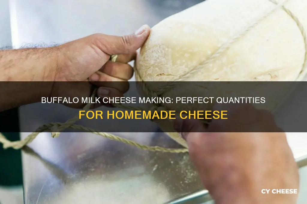 how much buffalo milk to make cheese