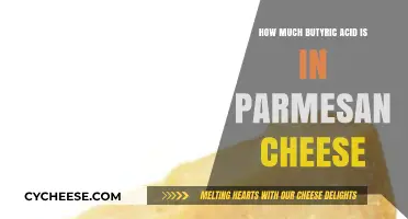 Butyric Acid Levels in Parmesan Cheese: A Nutritional Breakdown