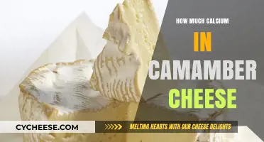 Calcium Content in Camembert Cheese: Nutritional Insights and Benefits