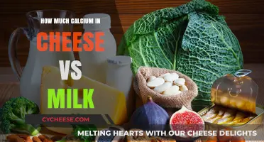 Cheese vs Milk: Calcium Content Comparison for Better Nutrition