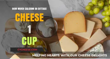 Calcium Content in Cottage Cheese: 1 Cup Serving Insights