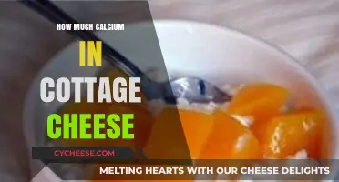 Cottage Cheese Calcium Content: Unlocking Nutritional Benefits in Every Bite