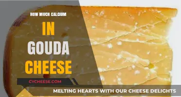 Calcium Content in Gouda Cheese: Nutritional Benefits and Serving Tips
