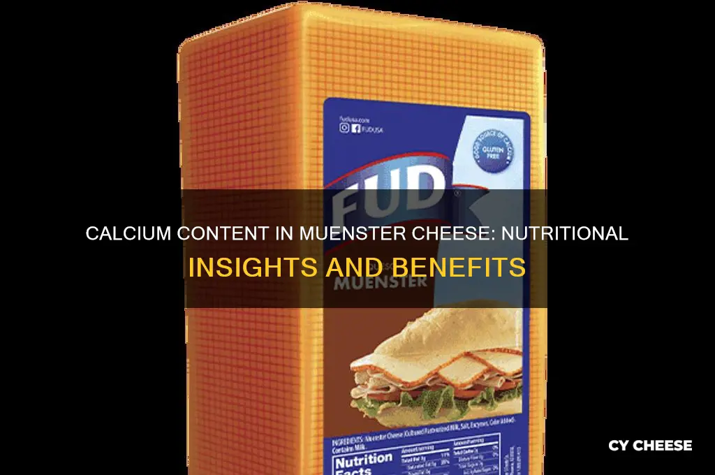 how much calcium in muenster cheese