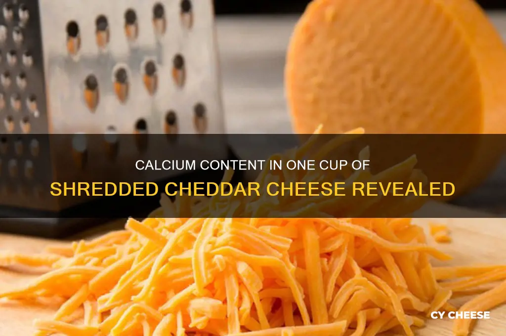 how much calcium in one cup of shredded cheedar cheese