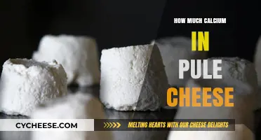 Pule Cheese Calcium Content: Unveiling the Nutritional Value of This Rare Cheese