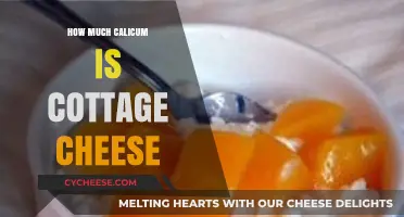 Cottage Cheese Calcium Content: How Much Does It Really Provide?