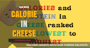 Cheese Calorie Count: Uncovering the Nutritional Value in Every Bite