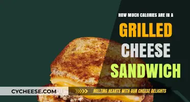 Grilled Cheese Calories: Unveiling the Nutritional Facts of a Classic Sandwich