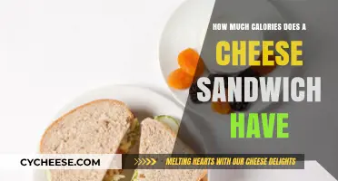 Cheese Sandwich Calories: A Nutritional Breakdown of Your Favorite Snack