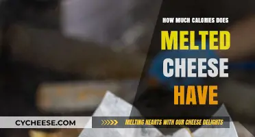 Melted Cheese Calories: Surprising Facts About Your Favorite Gooey Treat