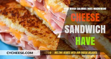 Microwave Cheese Sandwich Calories: Quick Nutrition Breakdown and Facts