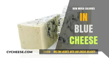 Blue Cheese Calories: Nutritional Breakdown and Serving Size Guide