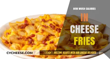 Cheese Fries Calorie Count: Uncovering the Truth Behind This Indulgent Snack