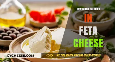 Feta Cheese Calories: Nutritional Breakdown and Serving Size Guide