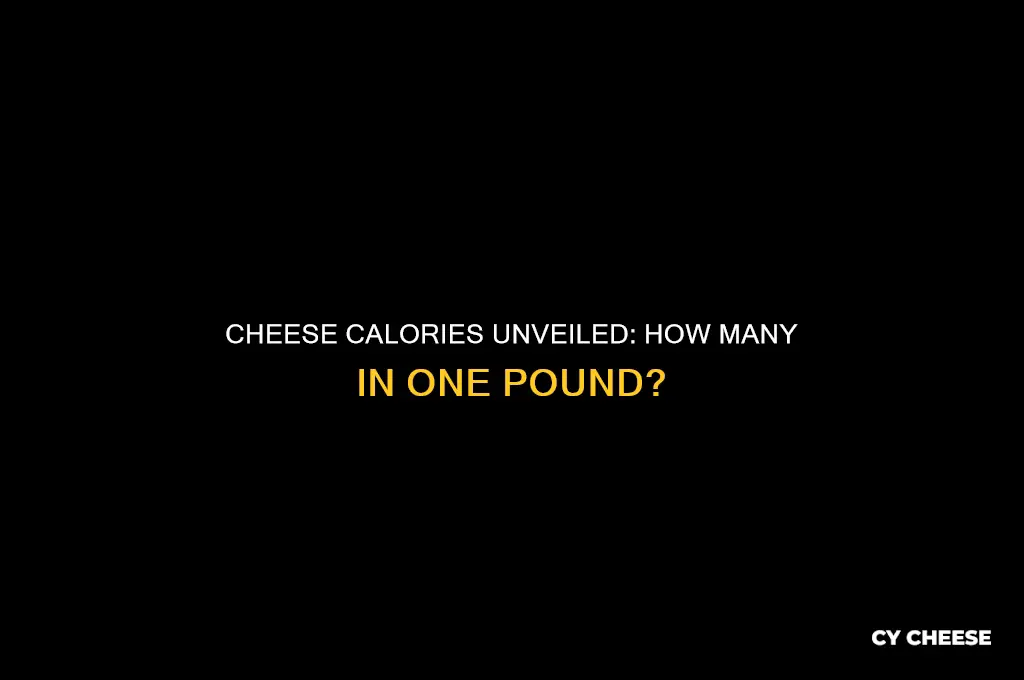 how much calories in one pound of cheese