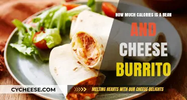 Bean and Cheese Burrito Calories: Unwrapping the Nutritional Facts