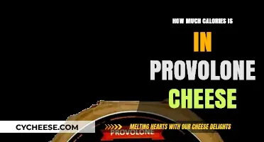 Provolone Cheese Calories: Nutritional Facts and Serving Size Guide