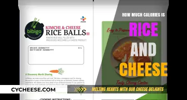 Rice and Cheese Calories: Nutritional Breakdown and Serving Tips