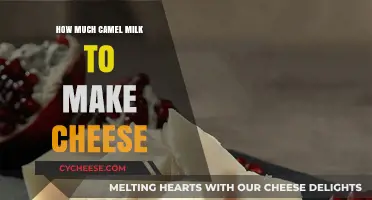 Crafting Camel Milk Cheese: Perfect Quantities for Delicious Results