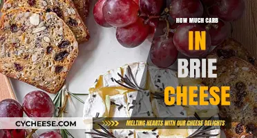 Carb Content in Brie Cheese: A Nutritional Breakdown