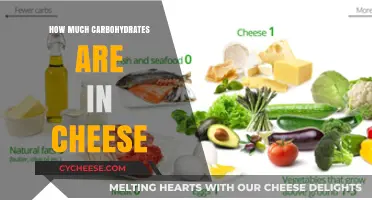 Carbohydrate Content in Cheese: A Comprehensive Guide to Cheese Carbs