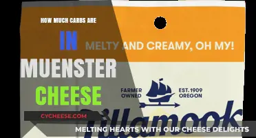 Muenster Cheese Carb Content: A Low-Carb Cheese Option Explained