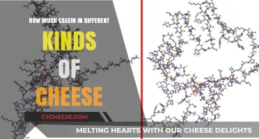 Casein Content in Cheese: A Breakdown of Popular Varieties