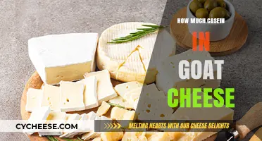 Goat Cheese Casein Content: Understanding Protein Levels in Your Cheese