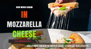 Casein Content in Mozzarella: Understanding Protein Levels in Cheese