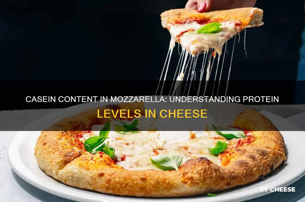 how much casein in mozzarella cheese