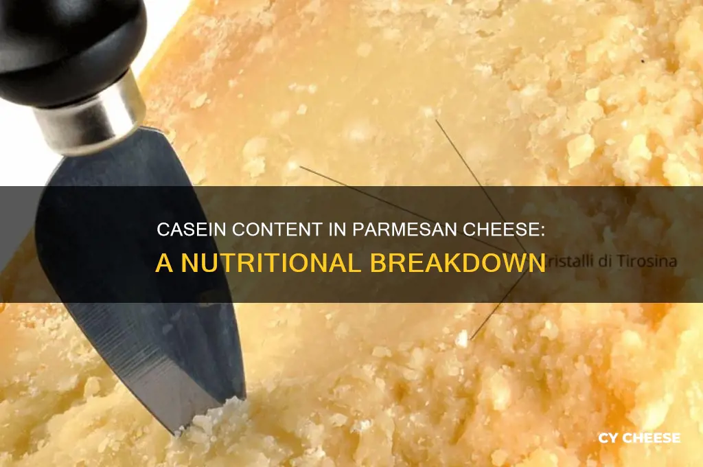 how much casein in parmesan cheese