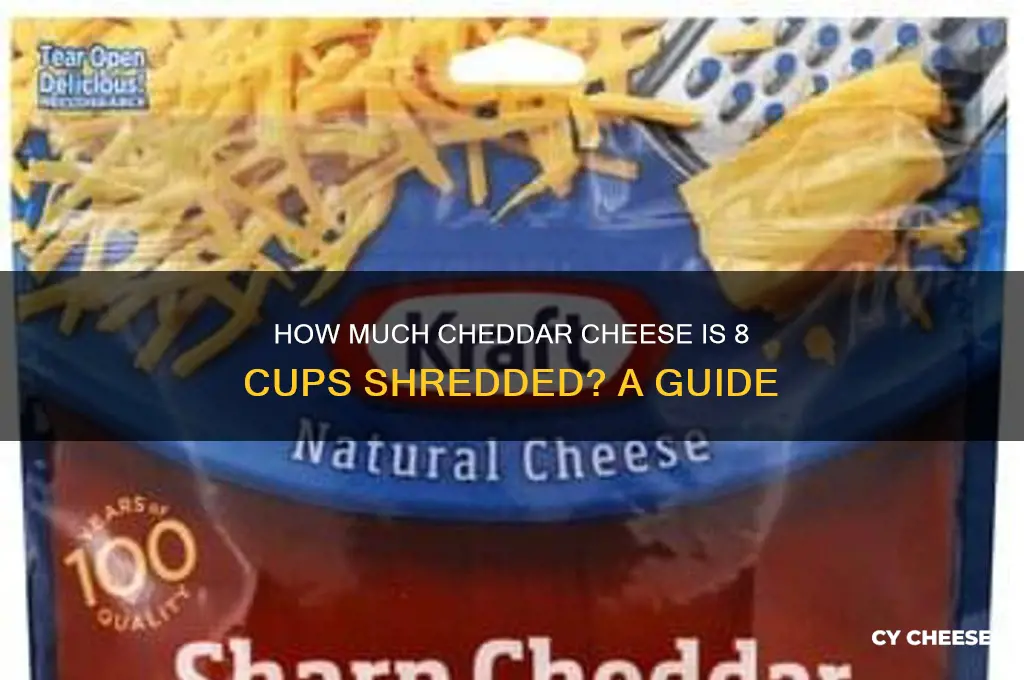 how much cheaddar cheese 8 cups shredded