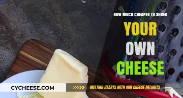 Save Money by Shredding Your Own Cheese: Cost-Effective Tips