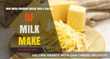 Cheddar Cheese Yield: How Much Does a Gallon of Milk Produce?