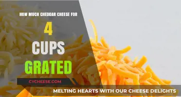 Perfect Cheddar Cheese Measurements: Grating 4 Cups Made Simple