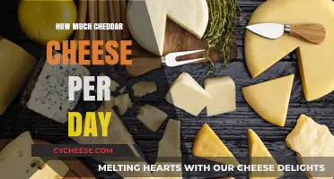 Daily Cheddar Cheese Intake: Balancing Flavor and Health Benefits