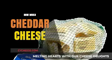 How Much Cheddar Cheese is Ideal for Your Recipes and Health?