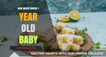 Cheese for Toddlers: Safe Amounts for Your 1-Year-Old Baby