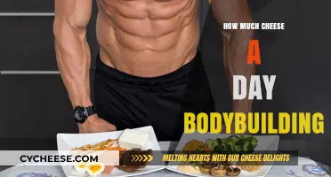 Cheese and Bodybuilding: Daily Intake Tips for Muscle Growth