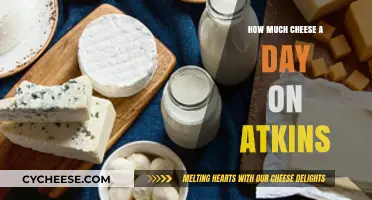 Daily Cheese Intake on Atkins: Balancing Fat and Protein Goals