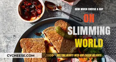 Slimming World Cheese Allowance: Daily Portions for Healthy Weight Loss