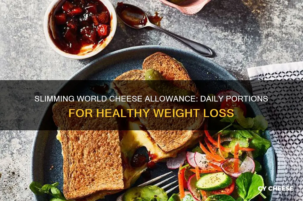 how much cheese a day on slimming world