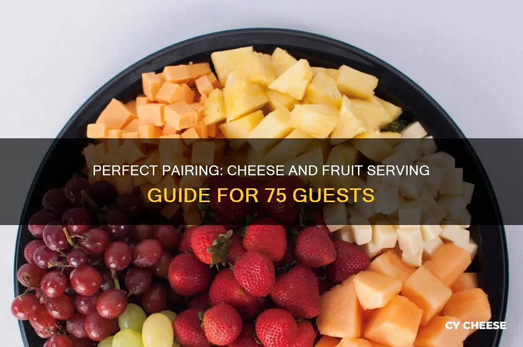 how much cheese and fruit to feed 75 people