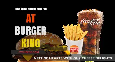 Burger King Cheese Burgers: Price, Value, and Menu Options Explained