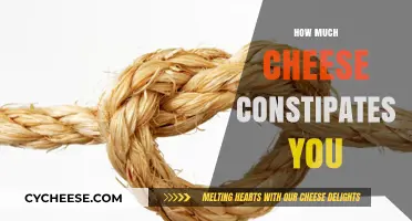Cheese and Constipation: Understanding the Impact on Your Digestive Health